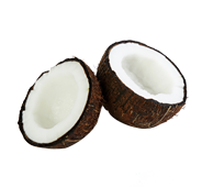 coconut